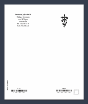 Carnets vétérinaires sécurisés – Duplicata agrafés & perforés (blocs de 50)